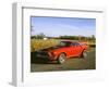 1969 Ford Mustang Mach 1-null-Framed Photographic Print