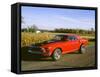 1969 Ford Mustang Mach 1-null-Framed Stretched Canvas