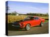 1969 Ford Mustang Mach 1-null-Stretched Canvas