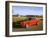 1969 Ford Mustang Mach 1-null-Framed Photographic Print