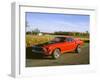 1969 Ford Mustang Mach 1-null-Framed Photographic Print