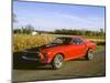 1969 Ford Mustang Mach 1-null-Mounted Photographic Print
