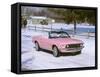1969 Ford Mustang Playboy-null-Framed Stretched Canvas