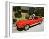 1969 Ford Mustang Shelby GT 350-null-Framed Photographic Print