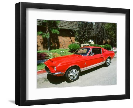 Photographic Print, , large