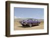 1970 Dodge Coronet HEMI RT-S. Clay-Framed Photographic Print