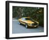 1970 Ford Mustang Twister-null-Framed Photographic Print
