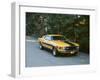 1970 Ford Mustang Twister-null-Framed Photographic Print