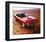 1970 Plymouth Cuda Hemi & Tie-null-Framed Art Print