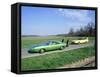 1970 Plymouth Superbird with 1968 Dodge Daytona-null-Framed Stretched Canvas