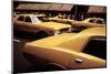 1970s America, Yellow Taxi Cabs on 5th Avenue Near 48th Street. Manhattan, New York City, 1972-null-Mounted Photo