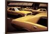 1970s America, Yellow Taxi Cabs on 5th Avenue Near 48th Street. Manhattan, New York City, 1972-null-Framed Photo