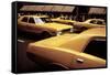 1970s America, Yellow Taxi Cabs on 5th Avenue Near 48th Street. Manhattan, New York City, 1972-null-Framed Stretched Canvas