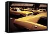 1970s America, Yellow Taxi Cabs on 5th Avenue Near 48th Street. Manhattan, New York City, 1972-null-Framed Stretched Canvas