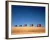 1970s Five Massey Ferguson Combines Harvesting Wheat Nebraska-null-Framed Photographic Print