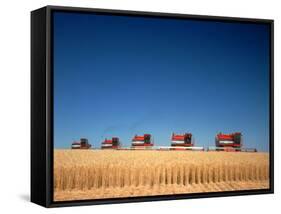 1970s Five Massey Ferguson Combines Harvesting Wheat Nebraska-null-Framed Stretched Canvas