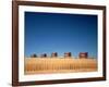 1970s Five Massey Ferguson Combines Harvesting Wheat Nebraska-null-Framed Photographic Print
