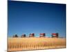 1970s Five Massey Ferguson Combines Harvesting Wheat Nebraska-null-Mounted Photographic Print