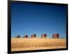 1970s Five Massey Ferguson Combines Harvesting Wheat Nebraska-null-Framed Photographic Print