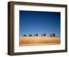 1970s Five Massey Ferguson Combines Harvesting Wheat Nebraska-null-Framed Photographic Print