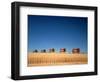 1970s Five Massey Ferguson Combines Harvesting Wheat Nebraska-null-Framed Photographic Print