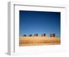 1970s Five Massey Ferguson Combines Harvesting Wheat Nebraska-null-Framed Photographic Print