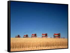 1970s Five Massey Ferguson Combines Harvesting Wheat Nebraska-null-Framed Stretched Canvas