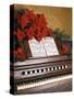 1970s PIANO CAROLS FLOWERS POINSETTIA-Panoramic Images-Stretched Canvas