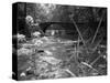 1970s Stream with Stone Bridge in Wooded Area-null-Stretched Canvas