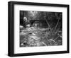 1970s Stream with Stone Bridge in Wooded Area-null-Framed Photographic Print