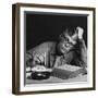 1970s YOUNG MAN STUDYING READING BOOKS LEANING ON ARM-Panoramic Images-Framed Photographic Print