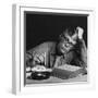 1970s YOUNG MAN STUDYING READING BOOKS LEANING ON ARM-Panoramic Images-Framed Photographic Print