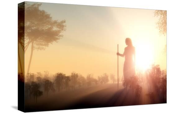 Stretched Canvas Print, , large