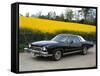 1973 Chevrolet Monte Carlo Landau-null-Framed Stretched Canvas