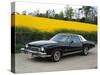1973 Chevrolet Monte Carlo Landau-null-Stretched Canvas