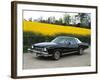 1973 Chevrolet Monte Carlo Landau-null-Framed Photographic Print