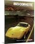 1973 Corvette - to See the Usa-null-Mounted Art Print