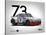 1973 Porsche Targa Florio-NaxArt-Stretched Canvas