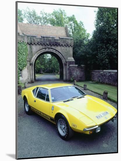 1974 De Tomaso Pantera GP4-null-Mounted Photographic Print