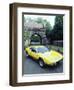 1974 De Tomaso Pantera GP4-null-Framed Photographic Print