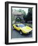 1974 De Tomaso Pantera GP4-null-Framed Photographic Print