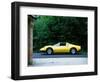 1974 Ferrari Dino 246 GTS-null-Framed Photographic Print