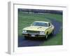 1974 Plymouth Road Runner 440-null-Framed Photographic Print