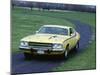 1974 Plymouth Road Runner 440-null-Mounted Photographic Print