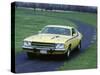 1974 Plymouth Road Runner 440-null-Stretched Canvas