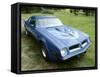 1974 Pontiac Trans AM 455 Super Duty-null-Framed Stretched Canvas