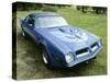 1974 Pontiac Trans AM 455 Super Duty-null-Stretched Canvas