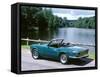 1974 Triumph Spitfire MKIV-null-Framed Stretched Canvas