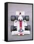 1975 Embassy Hill GH2 Formula 1 Racing Car-null-Framed Stretched Canvas