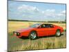 1975 Lotus Esprit Series 1-null-Mounted Photographic Print